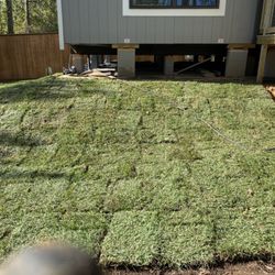 Addy Kays Lawn Care - After