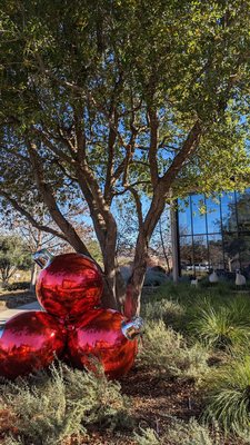 HALL Wines St. Helena by null