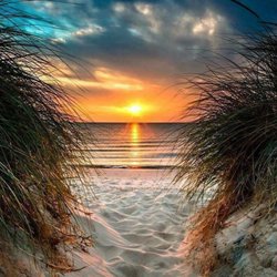 Venture Out Beach Rentals