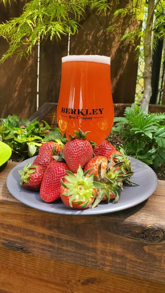 Social spots from Berkley Beer Company 