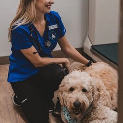 Caring Hands Animal Hospital - Ashburn