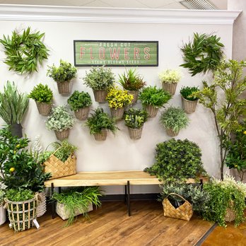 BlvdHome - indoor plants display - Furniture Stores Near Me - Mesquite, Nevada BlvdHome - indoor plants display - Furniture Stores Near Me - Mesquite, Nevada