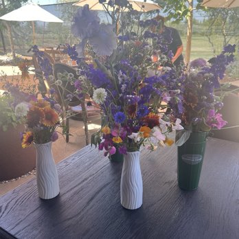 Park Winters Flower Farm - Pick Your Own Farms Near Me - Winters, California