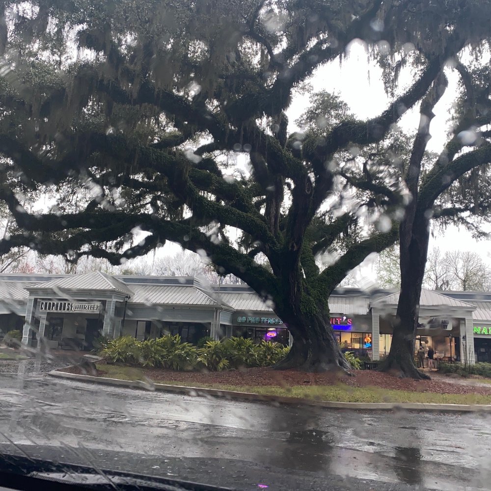 ChopHouse Thirteen - Love this tree! - Bars Near Me - Jacksonville, Florida ChopHouse Thirteen - Love this tree! - Bars Near Me - Jacksonville, Florida