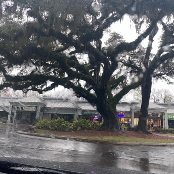 ChopHouse Thirteen - Love this tree! - Bars Near Me - Jacksonville, Florida ChopHouse Thirteen - Love this tree! - Bars Near Me - Jacksonville, Florida