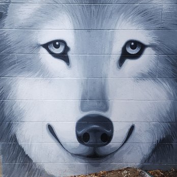 The Patio Bar - Bring your doggie!!! - Dive Bars Near Me - Sunnyvale, California