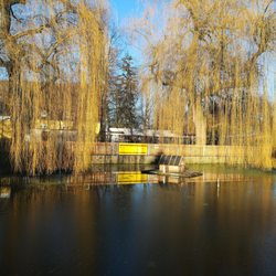 Schöppeneller See