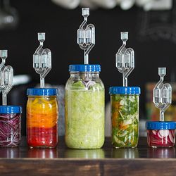 LaLonde Health and Wellness - Small group health classes. Topics: gut health, home fermentation, etc