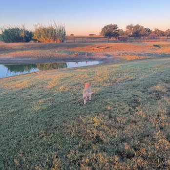Out In The Country - RV Parks Near Me - Tolar, Texas Out In The Country - RV Parks Near Me - Tolar, Texas