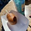 Hot Dog on a Stick gift card