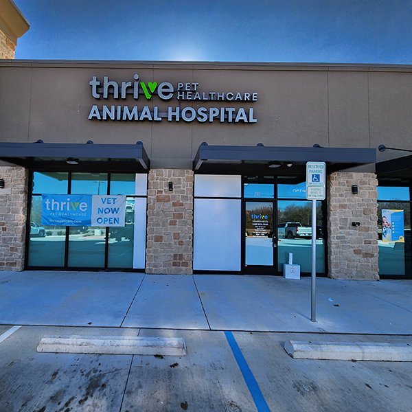 Thrive Pet Healthcare - Wylie Image