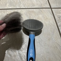 Doggy Daze - Gilbert Dog Grooming: Unleash Perfect Style