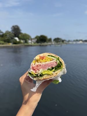 Shayna's Place by null