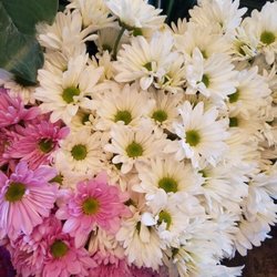 The Flower Market