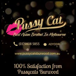 Pussycats Burwood - Our new logo