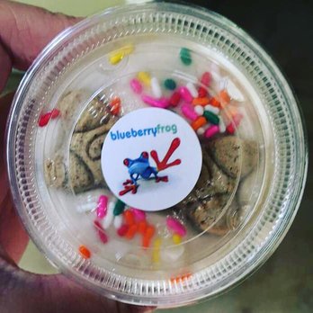 blueberryfrog - Ice Cream & Frozen Yogurt Near Me - Greenville, South Carolina