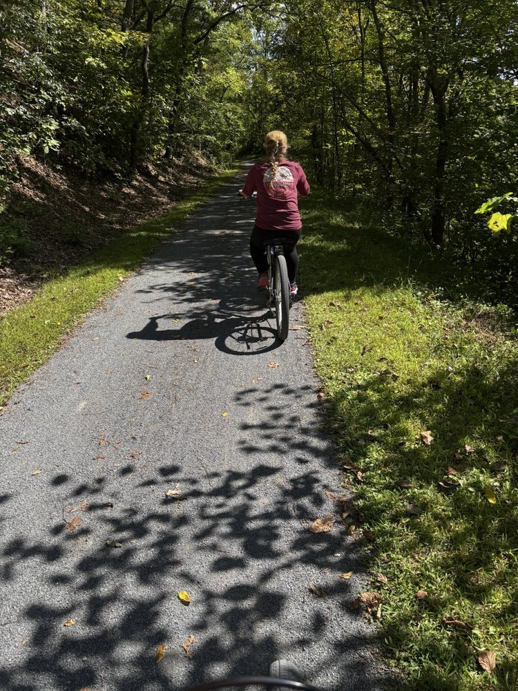 Bicycle Junction Logo