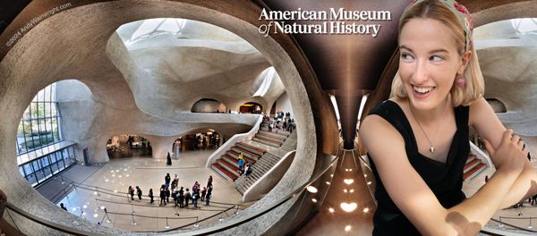 American Museum of Natural History by null