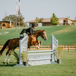 Paso Robles Horse Park - Fairway Field Hunters