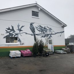 Awesome mural at Roots and Shoots Nursery
