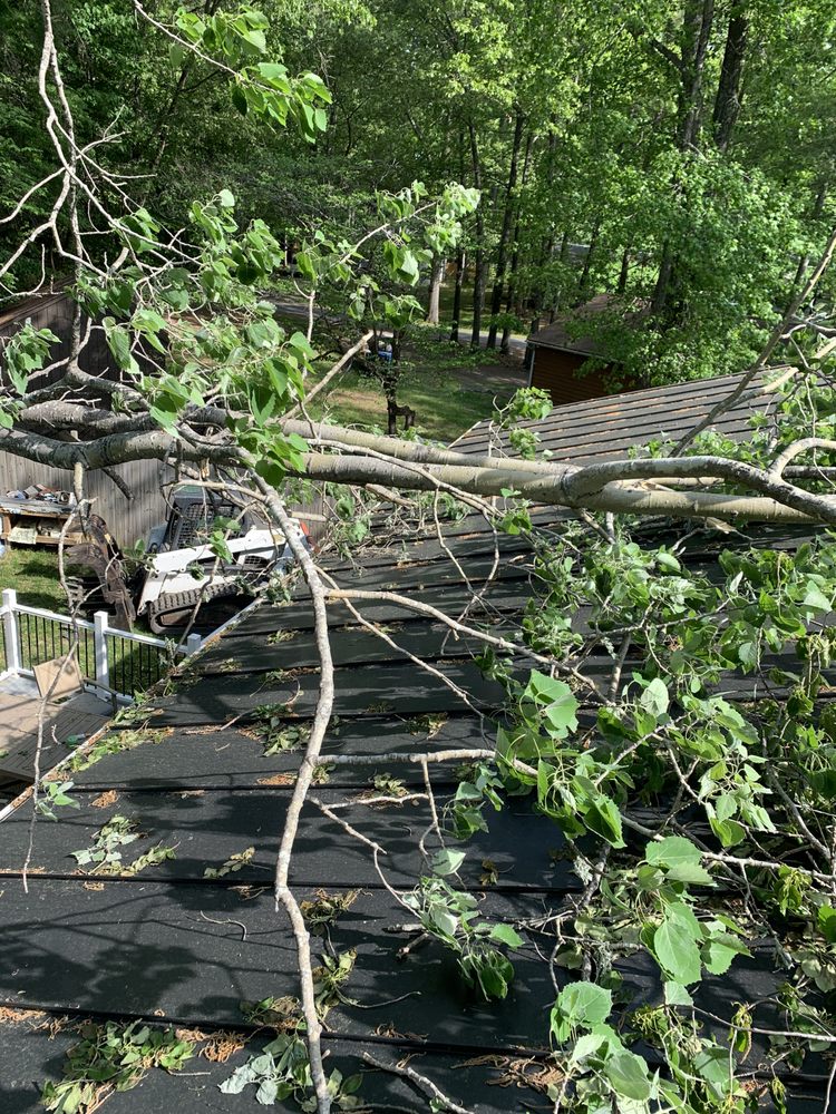 Call My Saw Tree Service - tree service in Ruther Glen, VA