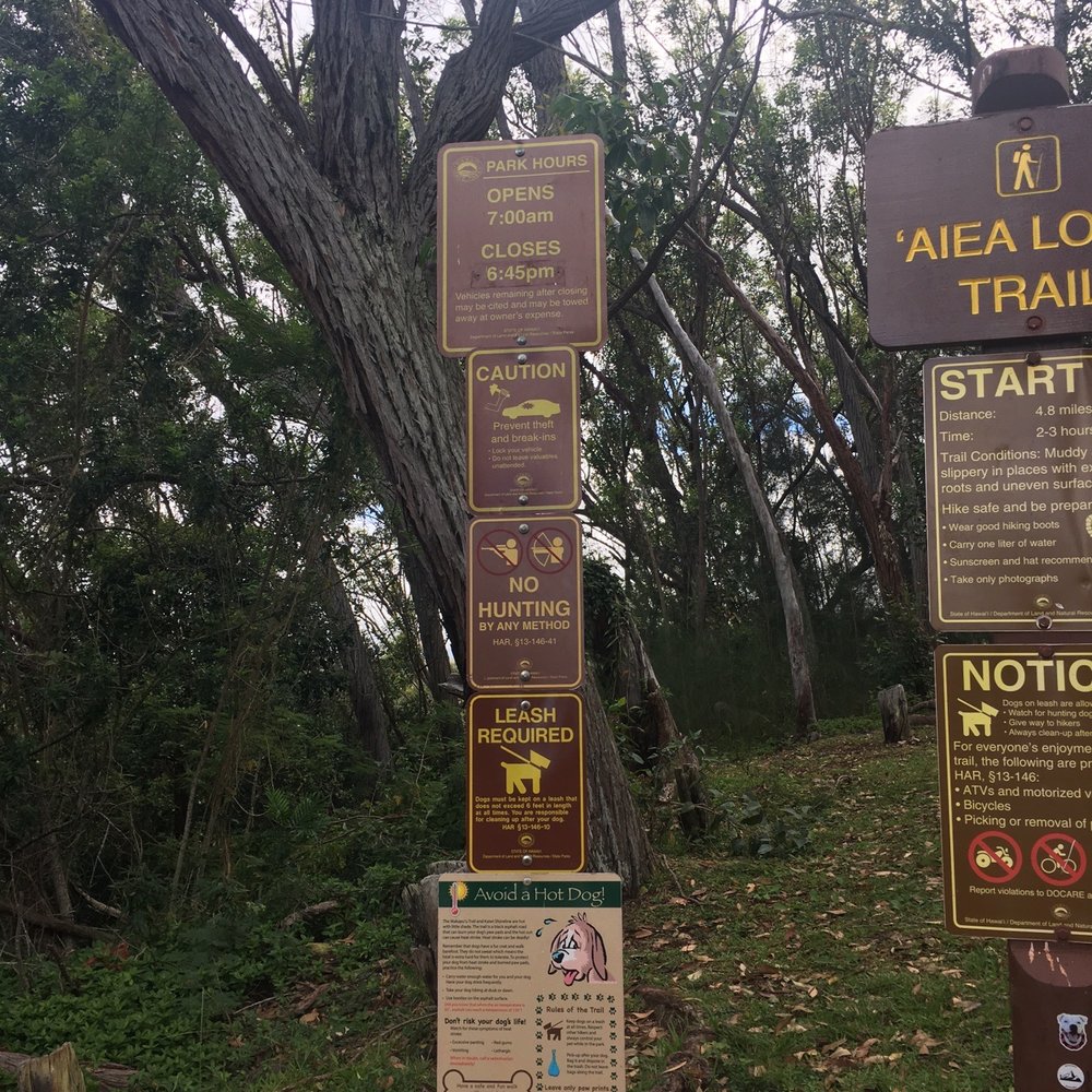 Aiea Loop Trail - Hiking Near Me - Aiea, Hawaii