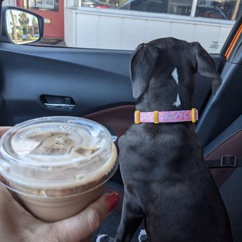 Cups & Pups Coffee - Coffee & Tea Near Me - Orlando, Florida Cups & Pups Coffee - Coffee & Tea Near Me - Orlando, Florida