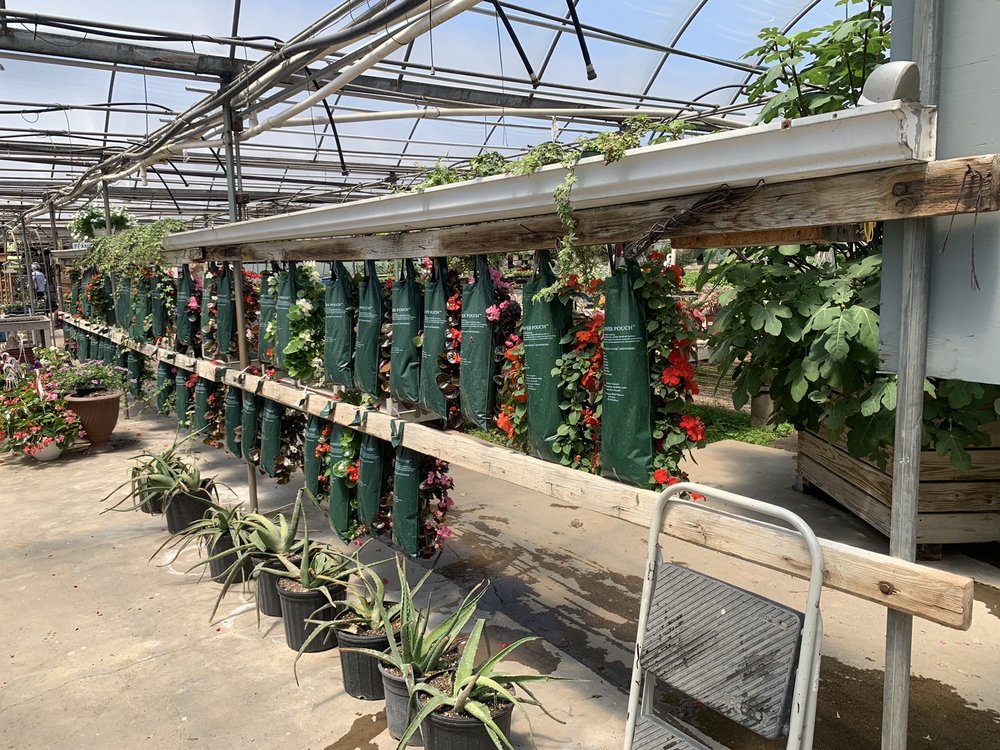 MILLER’S GREENHOUSE Updated August 2024 3614 Swamp St NE, Hartville