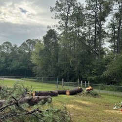 KL Tree Service & Stump Grinding - This was a large pine tree near two fences and a grave. We only requested he cut the tree down!