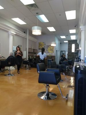 Precision Cut 15 Photos 43 Reviews Hair Salons 70 S Val Vista Dr Gilbert Az Phone Number