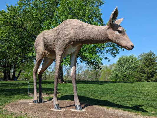 Laumeier Sculpture Park by null