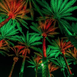 Lights Up Today