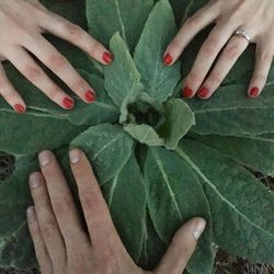CJR Acupuncture - CJR Acupuncture