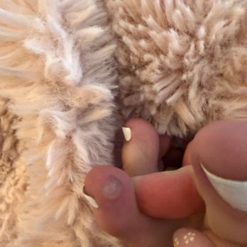 PB Luxury Nails - Nail Salons Near Me - San Diego, California PB Luxury Nails - Nail Salons Near Me - San Diego, California