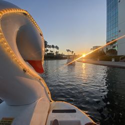 Rainbow Lagoon Swan Boats -  Wheel Fun Rentals - Sunset ride