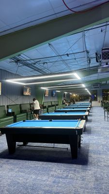 The Pool Turtle by null