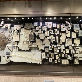 Fossil Butte National Monument - Fossil wall - Museums Near Me - Kemmerer, Wyoming