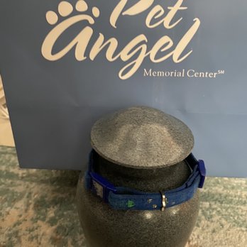 Pet Angel Memorial Center - Pet Cremation Services Near Me - Plantation, Florida Pet Angel Memorial Center - Pet Cremation Services Near Me - Plantation, Florida