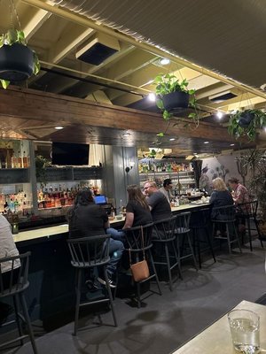 Condesa Phoenix by null