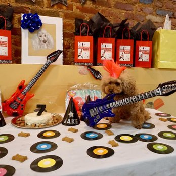 Puppy Parties NYC - Jake's Rockstar Pawty! - Party & Event Planning Near Me - Brooklyn, New York Puppy Parties NYC - Jake's Rockstar Pawty! - Party & Event Planning Near Me - Brooklyn, New York