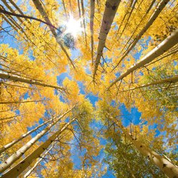 Levy Counseling and Life Coaching - Our goal is to help you grow from your struggles, heal from your pain, and move forward to where you want to be in your life.