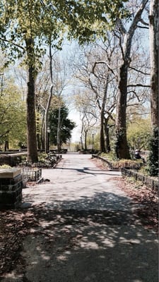 Owl's Head Park by null