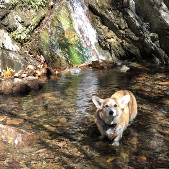 Holy Jim Falls Trail - Hiking Near Me - Trabuco Canyon, California