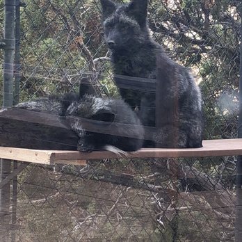 Animal Ark - Zoos Near Me - Reno, Nevada