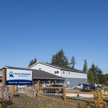 Blue Mountain Animal Clinic - Veterinarians Near Me - Sequim, Washington Blue Mountain Animal Clinic - Veterinarians Near Me - Sequim, Washington