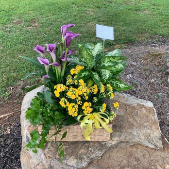 The Flower Post - Beautiful Dish Garden arrangement - Florists Near Me - Cumming, Georgia The Flower Post - Beautiful Dish Garden arrangement - Florists Near Me - Cumming, Georgia