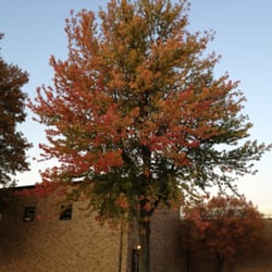 Kickapoo High School