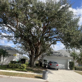 North River Tree Service - Trees removed. - Tree Services Near Me - Riverview, Florida North River Tree Service - Trees removed. - Tree Services Near Me - Riverview, Florida