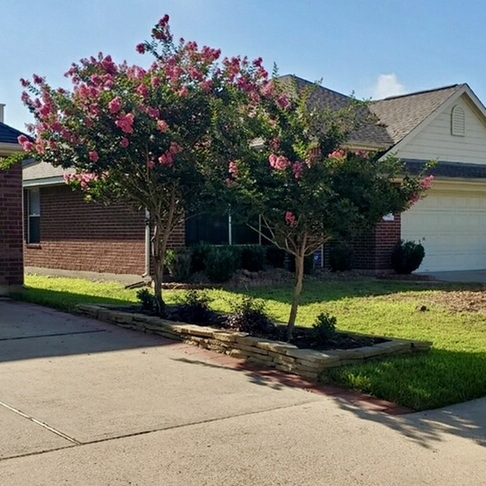 TOP 10 BEST Backyard Landscaping in Houston, TX - Updated 2026 - Yelp, image size:1000x1000