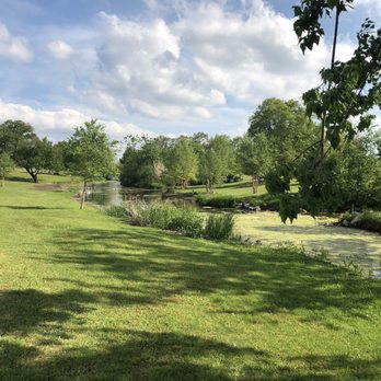 Brandt Park - Brandt Park - OU Duck Pond: Pond & Grass - Parks Near Me - Norman, Oklahoma Brandt Park - Brandt Park - OU Duck Pond: Pond & Grass - Parks Near Me - Norman, Oklahoma